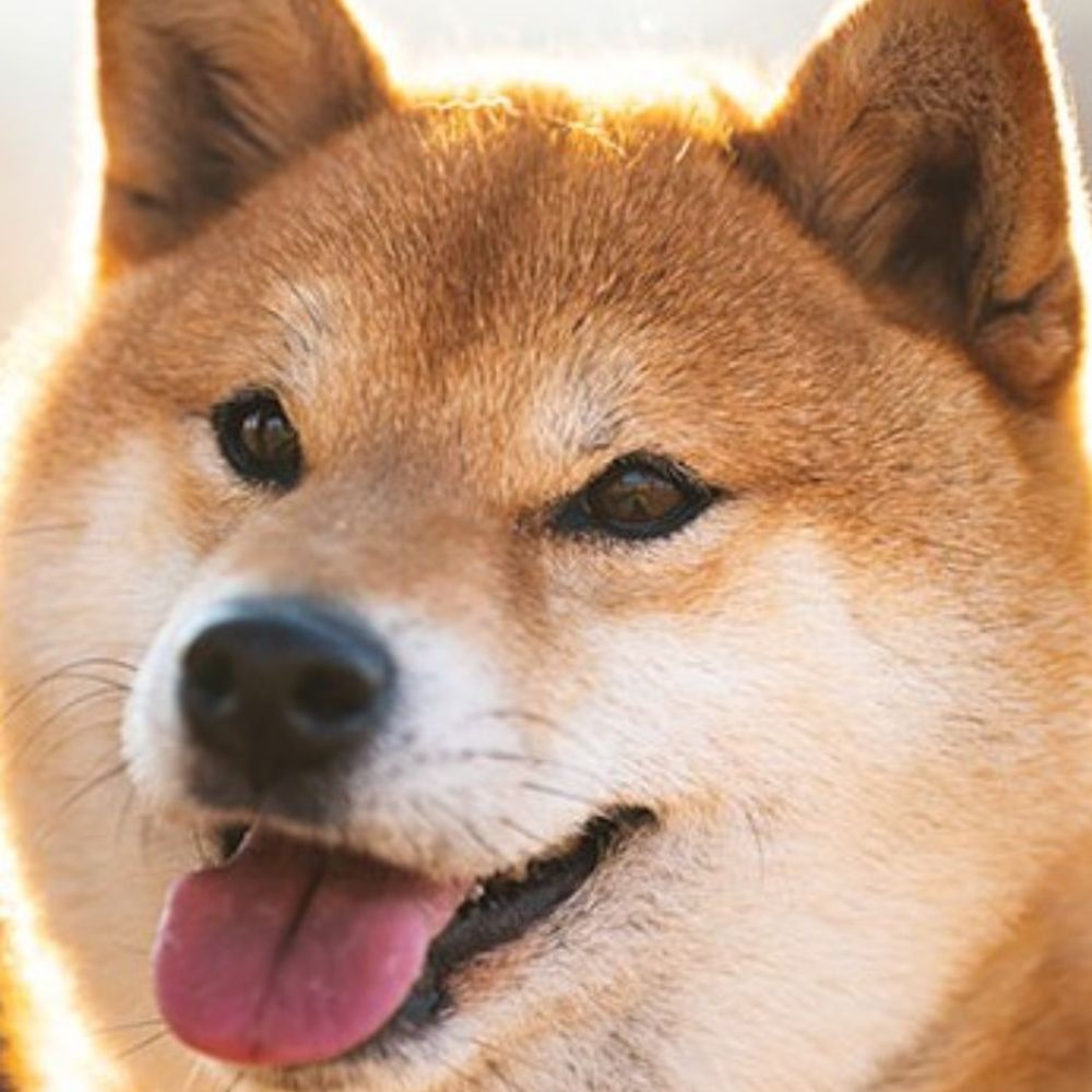 Rakusho
