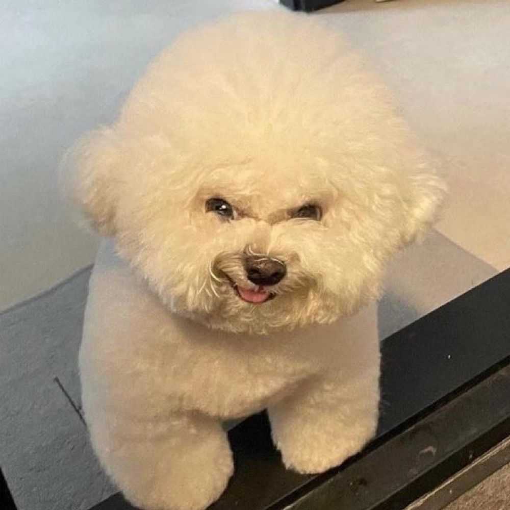 🧸