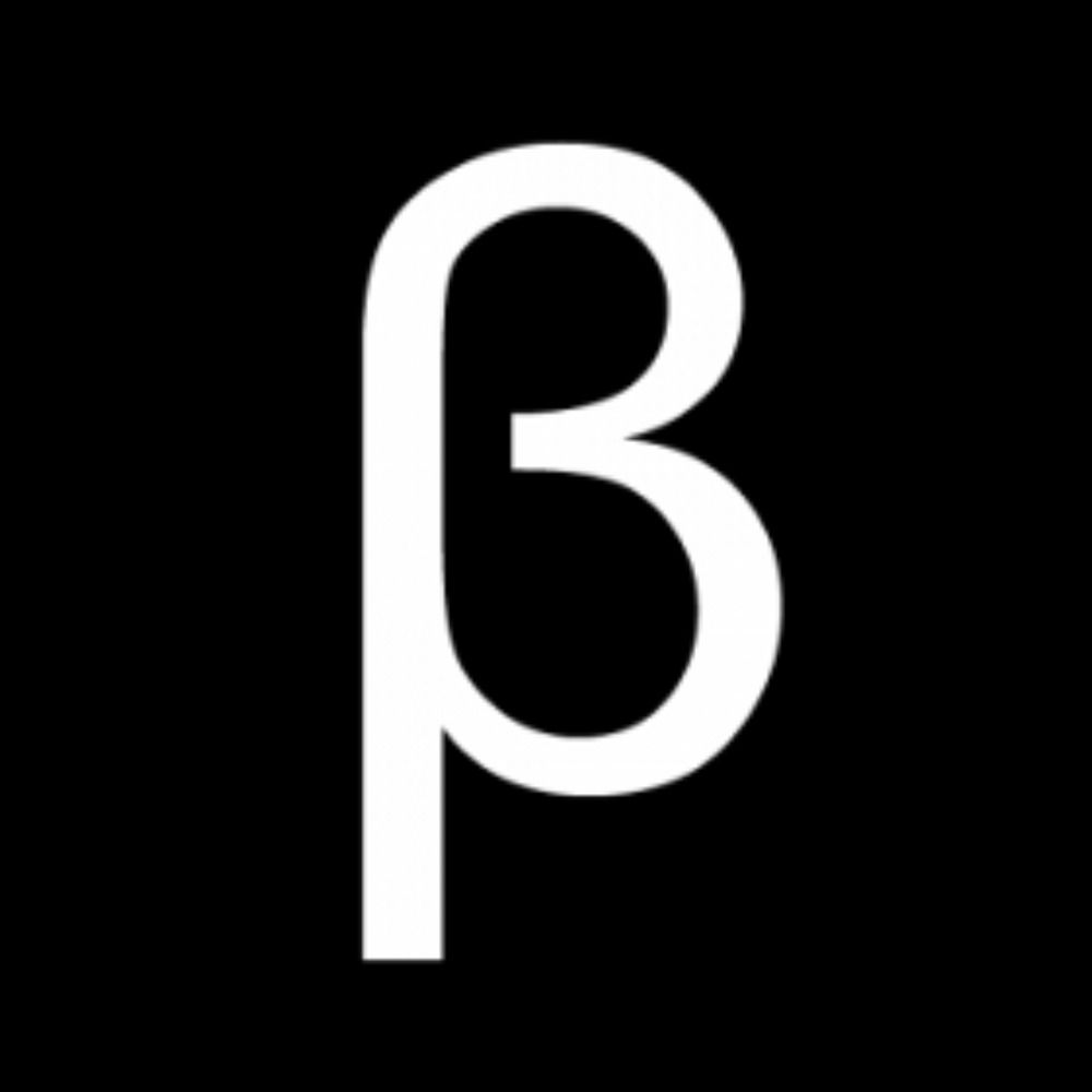 The Blogographer