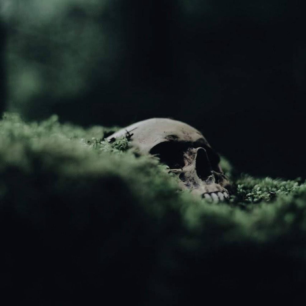 🖤🌿