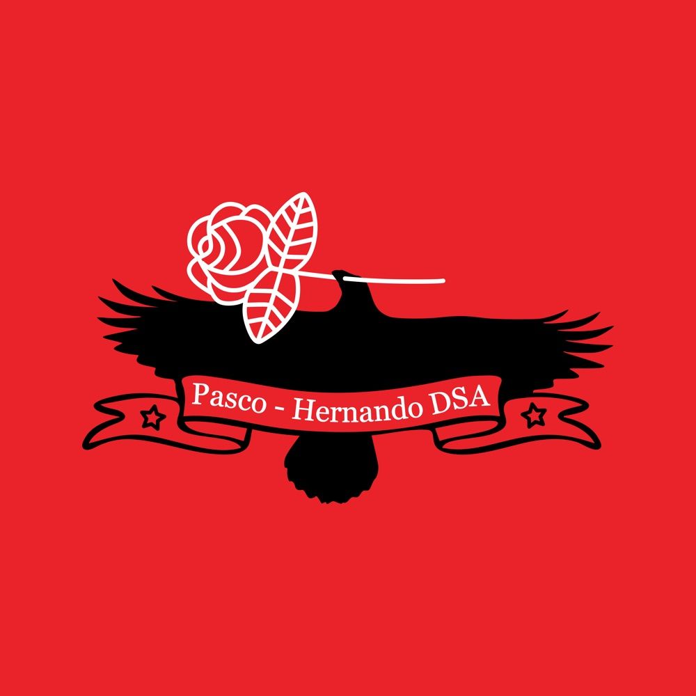 Pasco-Hernando DSA