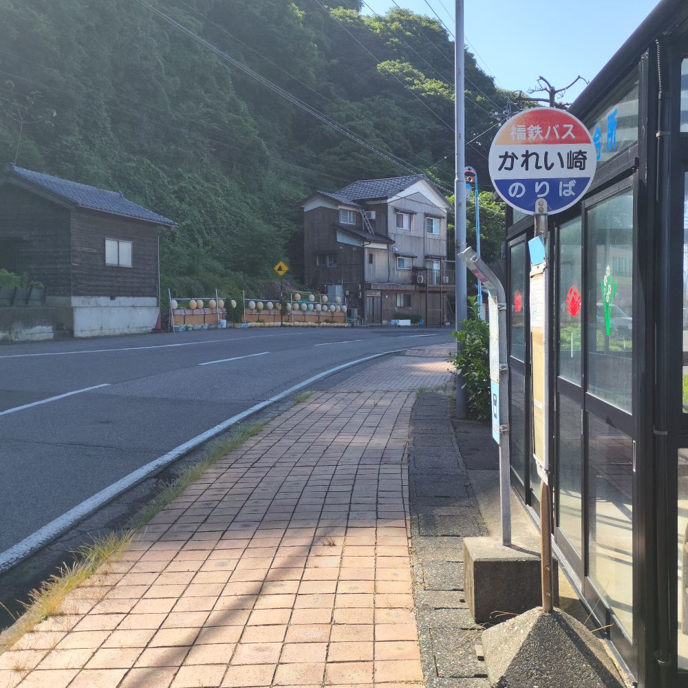 舞茸椎茸えのき茸