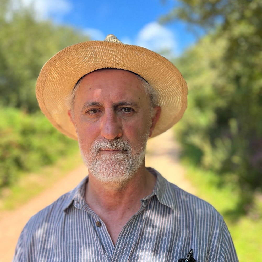 Luis Cueto