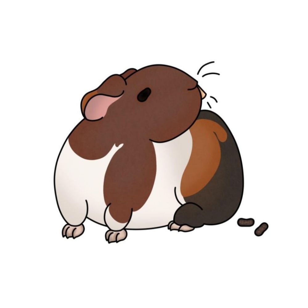 Jasper B