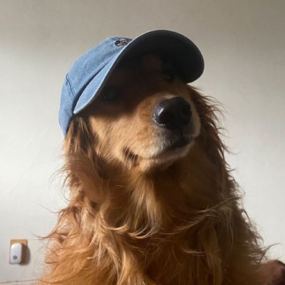 bruno