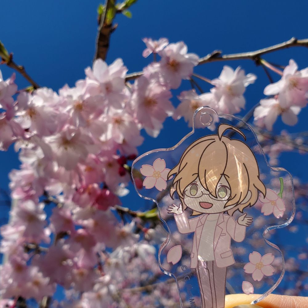 ソラ
