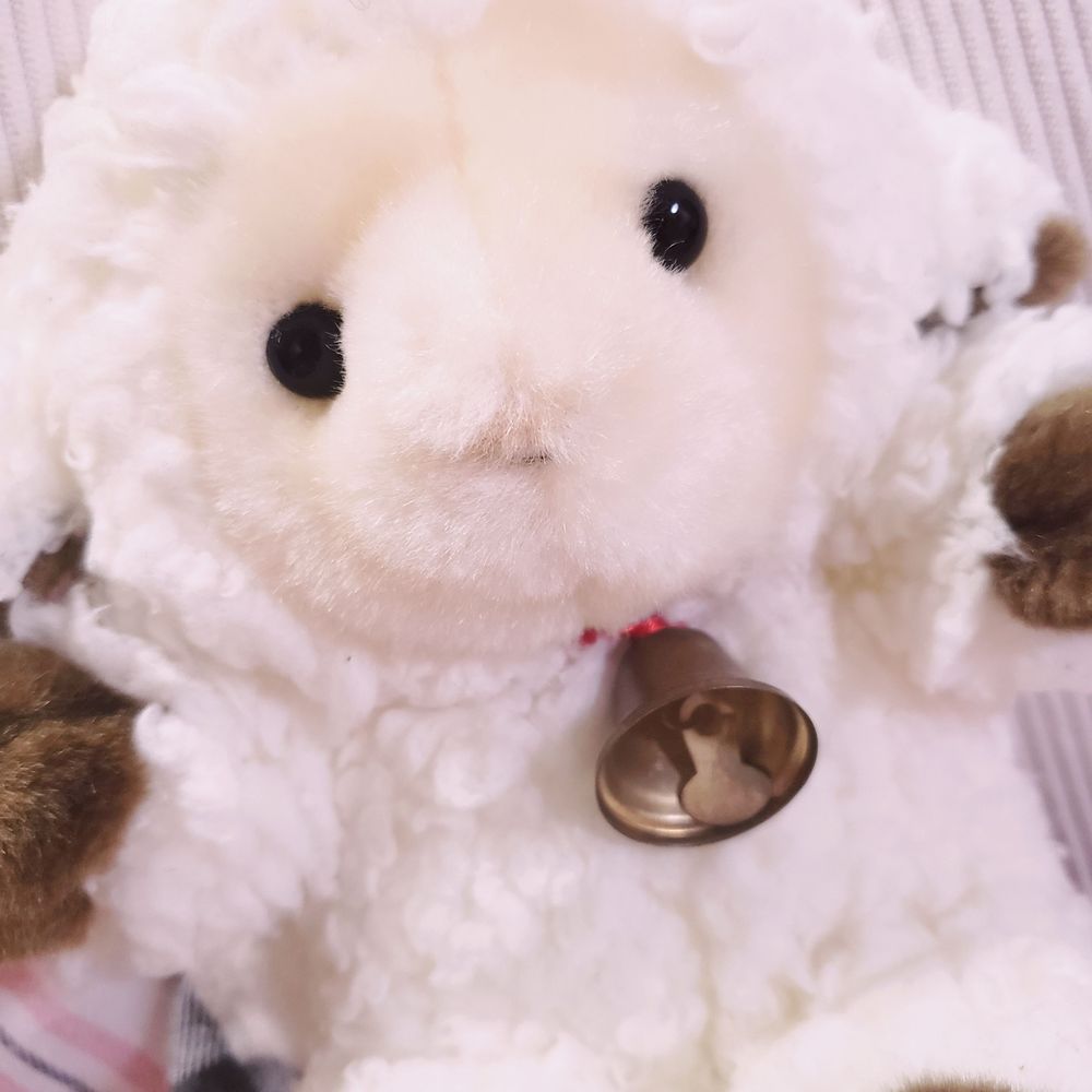 めぐみ