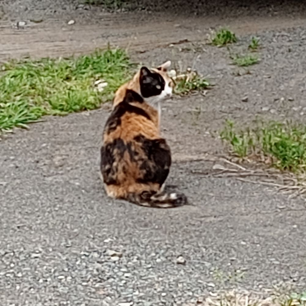 ろく