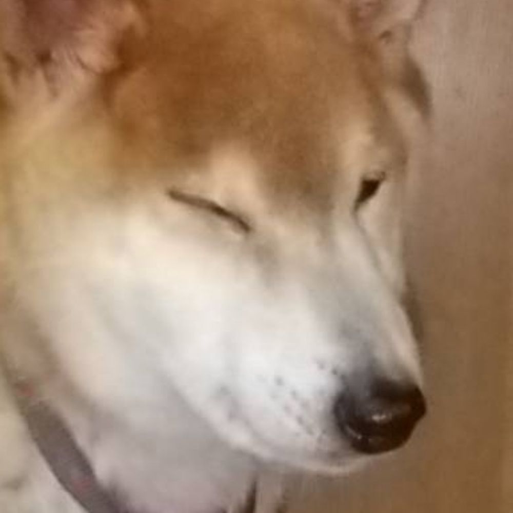 とうふ
