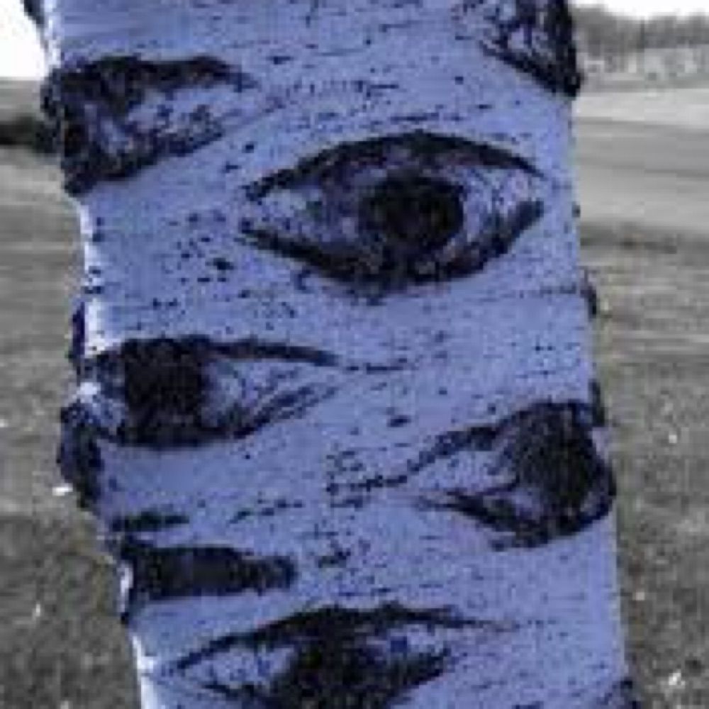 TreeSquid