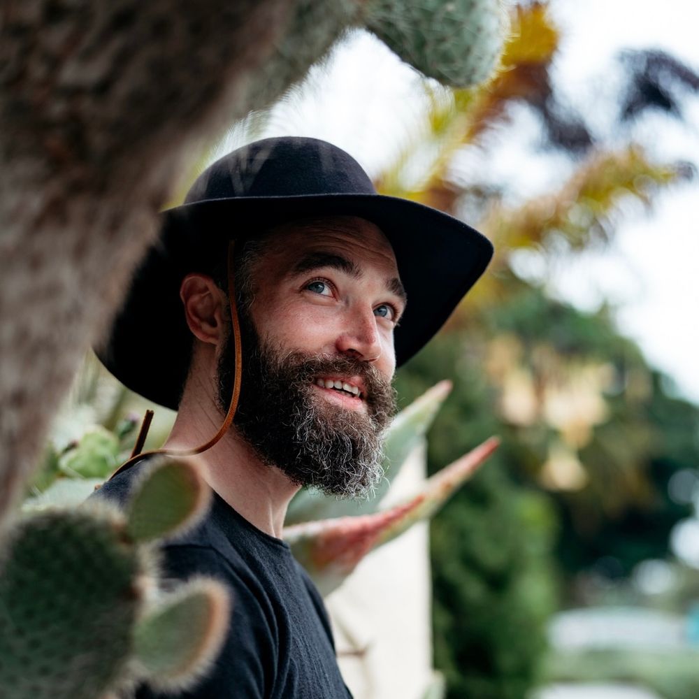 prickly oxheart