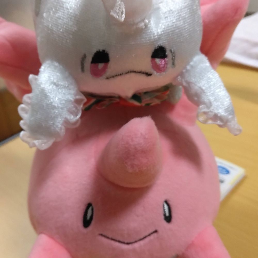 たいる🐲