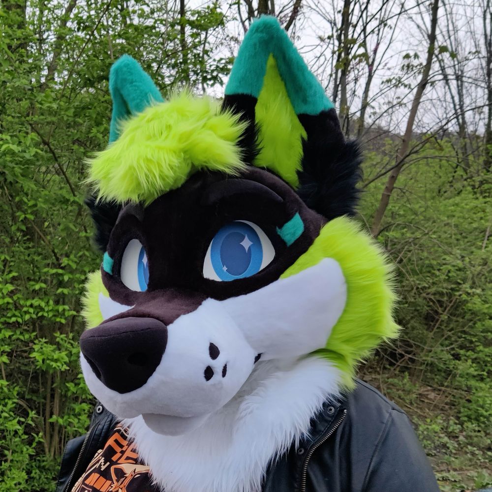Zenith Wolf 💚