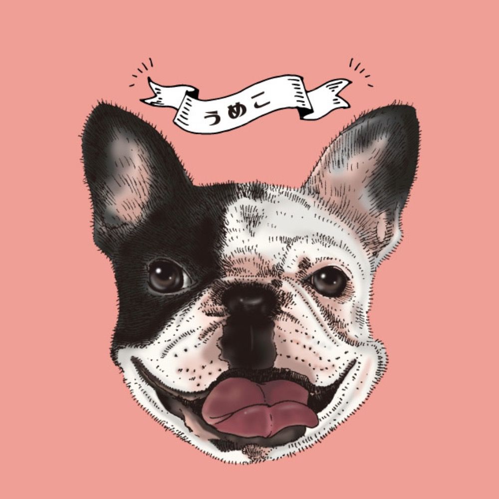Rei Nakahara ⛳️🐾 mojibakeo