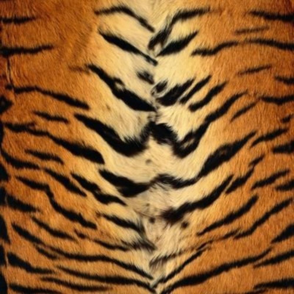 🐅 Hercles X
