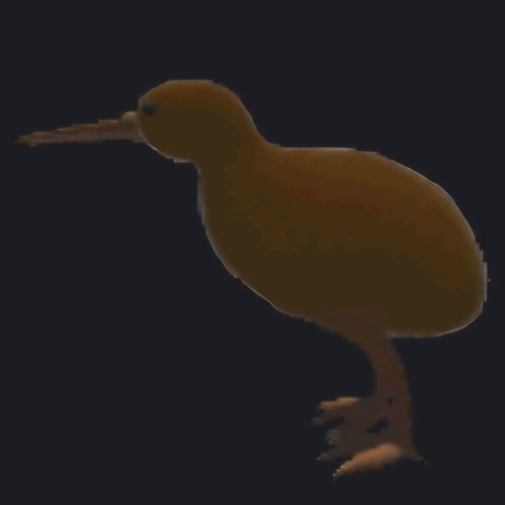 Scoopy