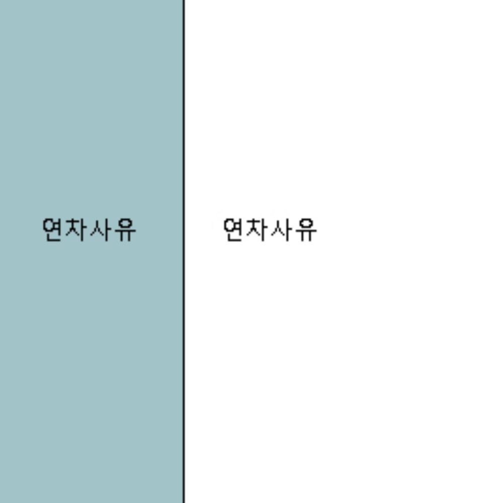연차사유