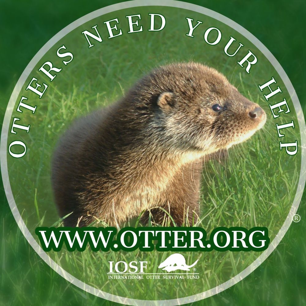 International Otter Survival Fund
