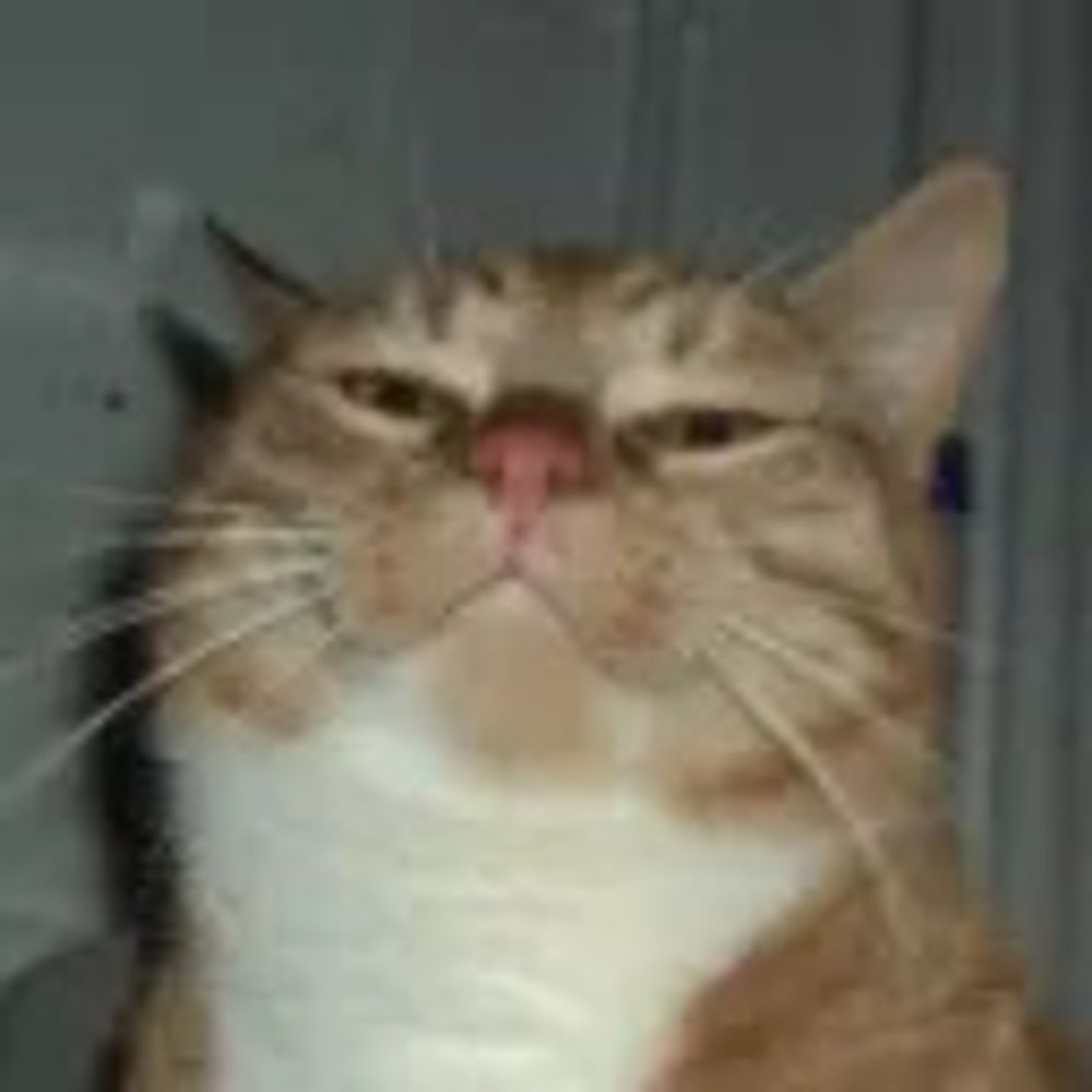 SDFTDusername