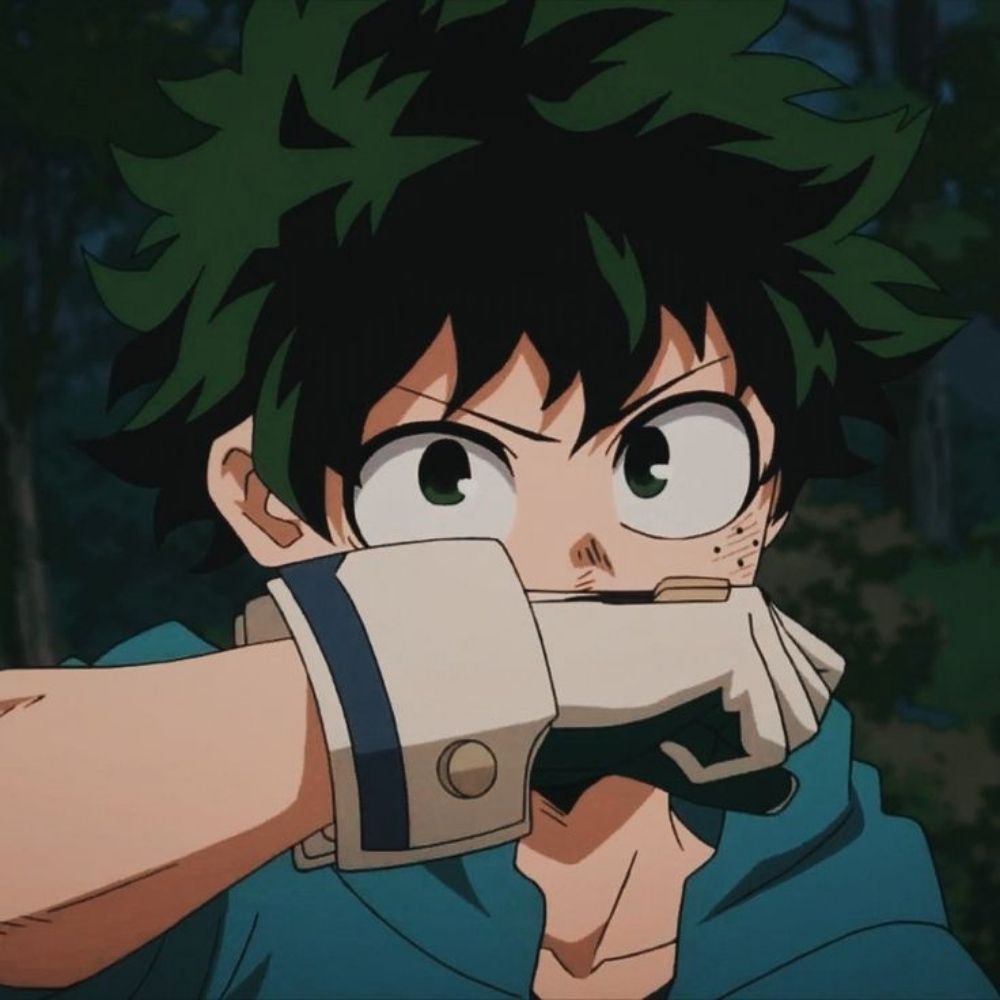 ✯Izuku☆✯midoriya☆