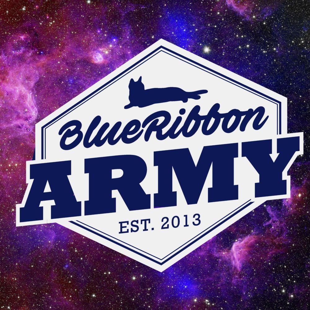 Profile picture blueribbonarmy.bsky.social