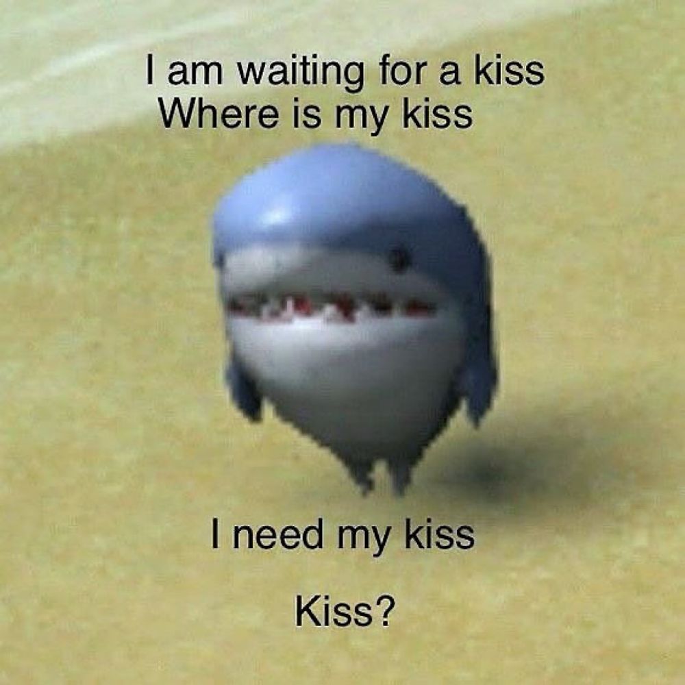 Shark