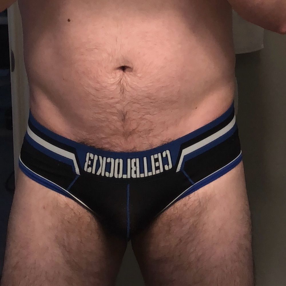 Half Cub / Pup Bear