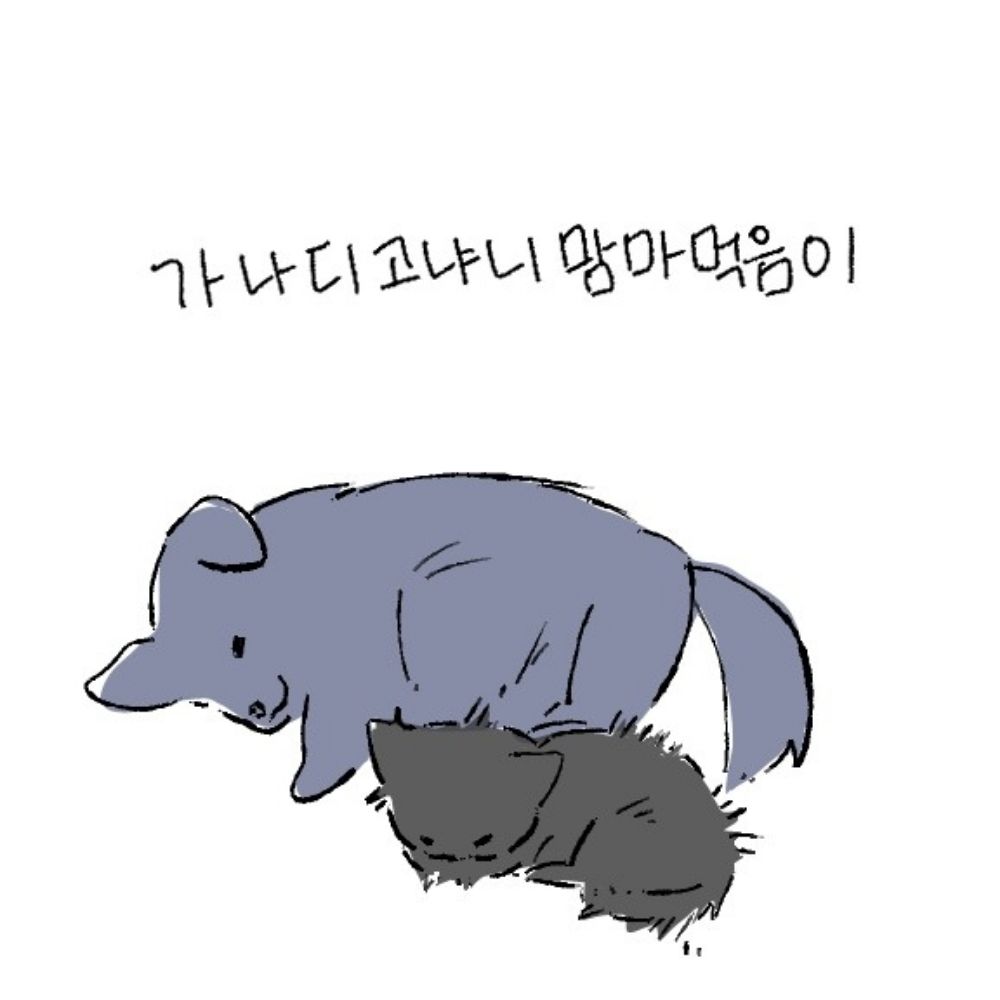 초하