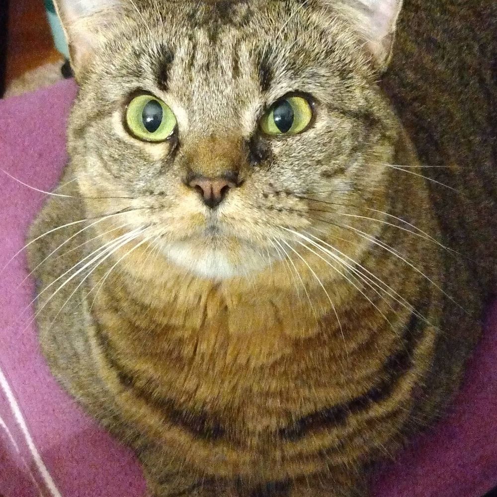 Suzanne