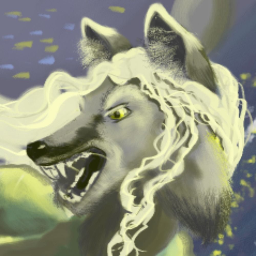 nisima.bsky.social profile picture
