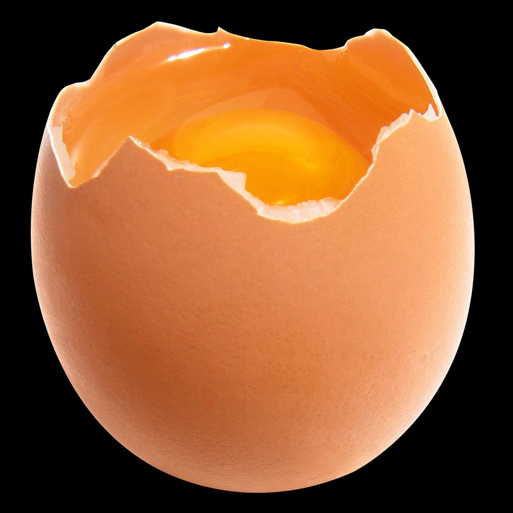 Profile picture eggpricematters.bsky.social