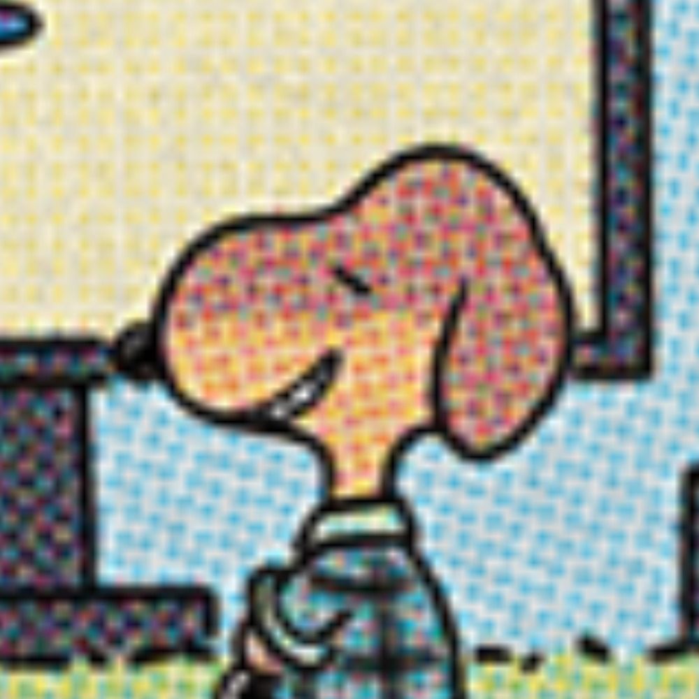 Luco