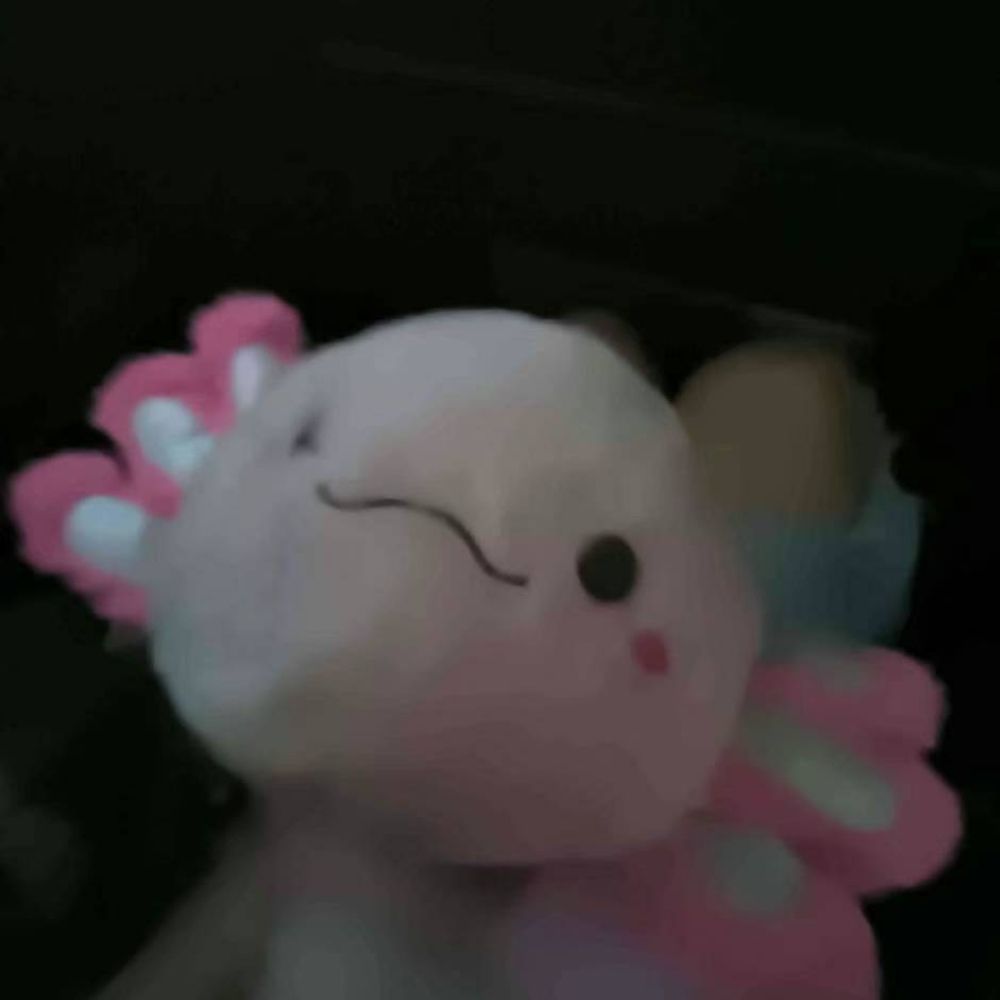 Shinshi