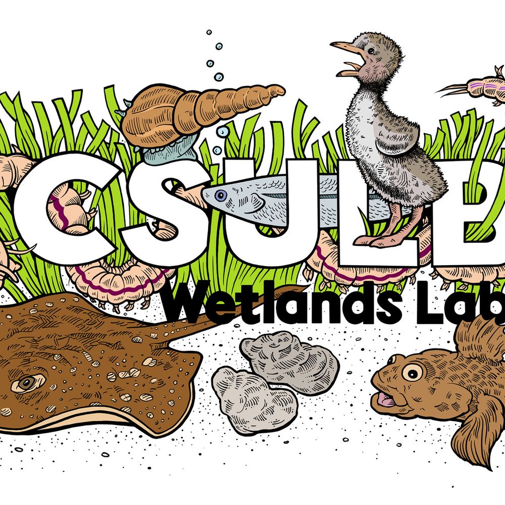 CSULB Wetlands Lab
