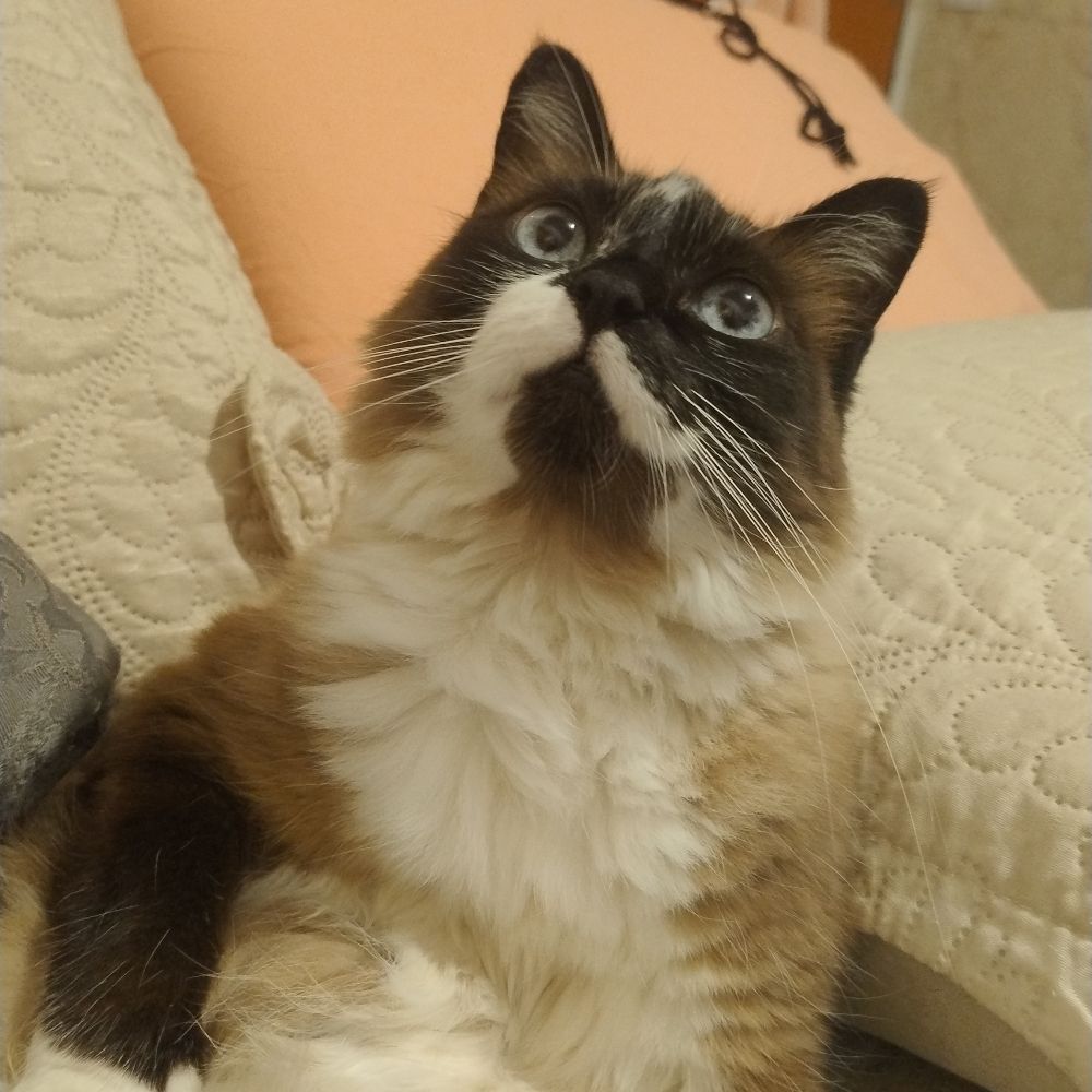 Mariana