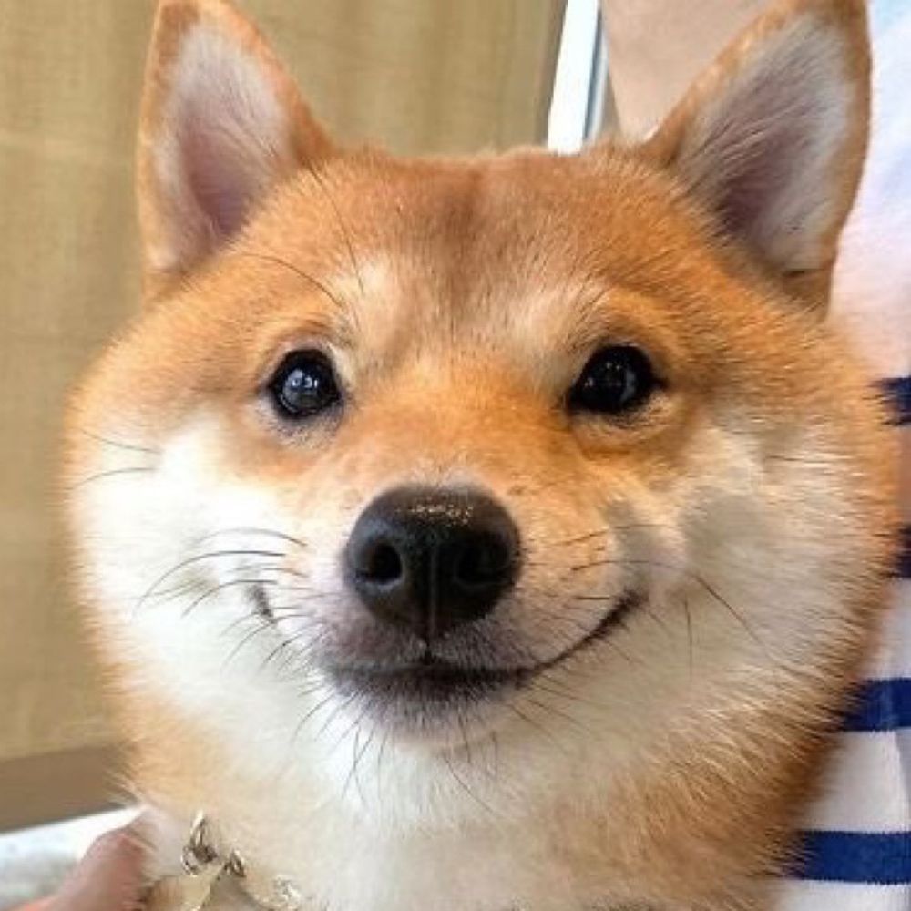 버터