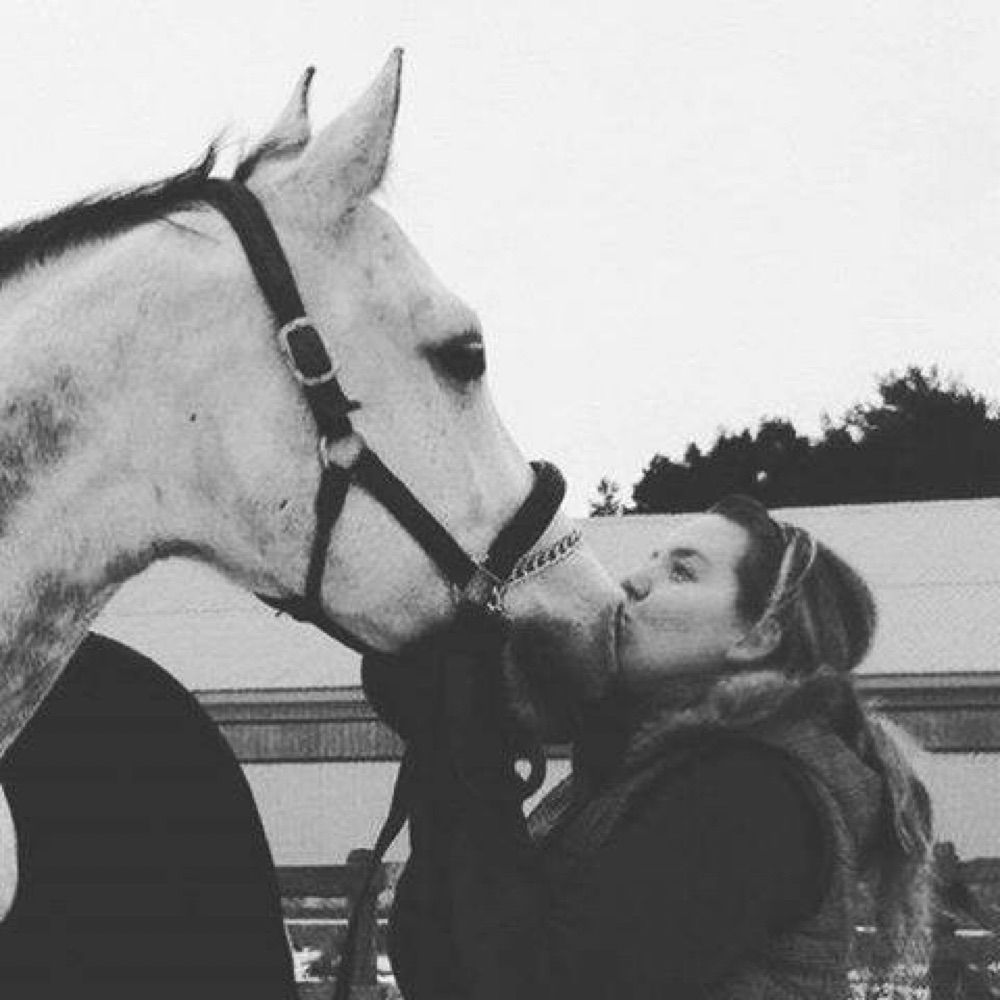 Grey Horse Problems