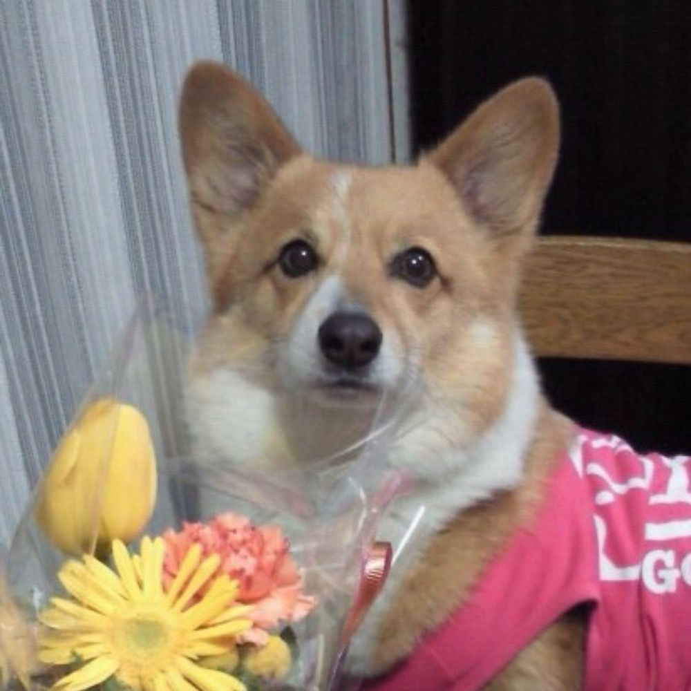 さな