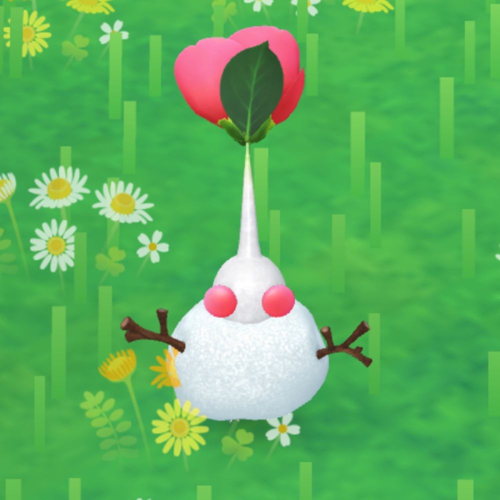 ののはな