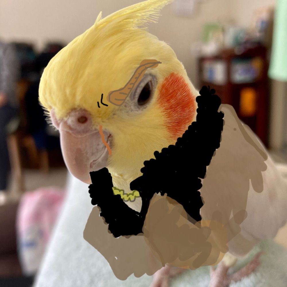 ASIM🦜