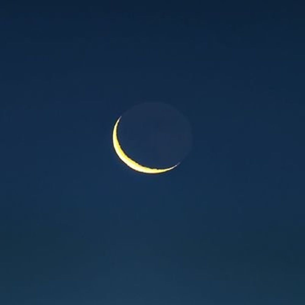 𓆟 🌓