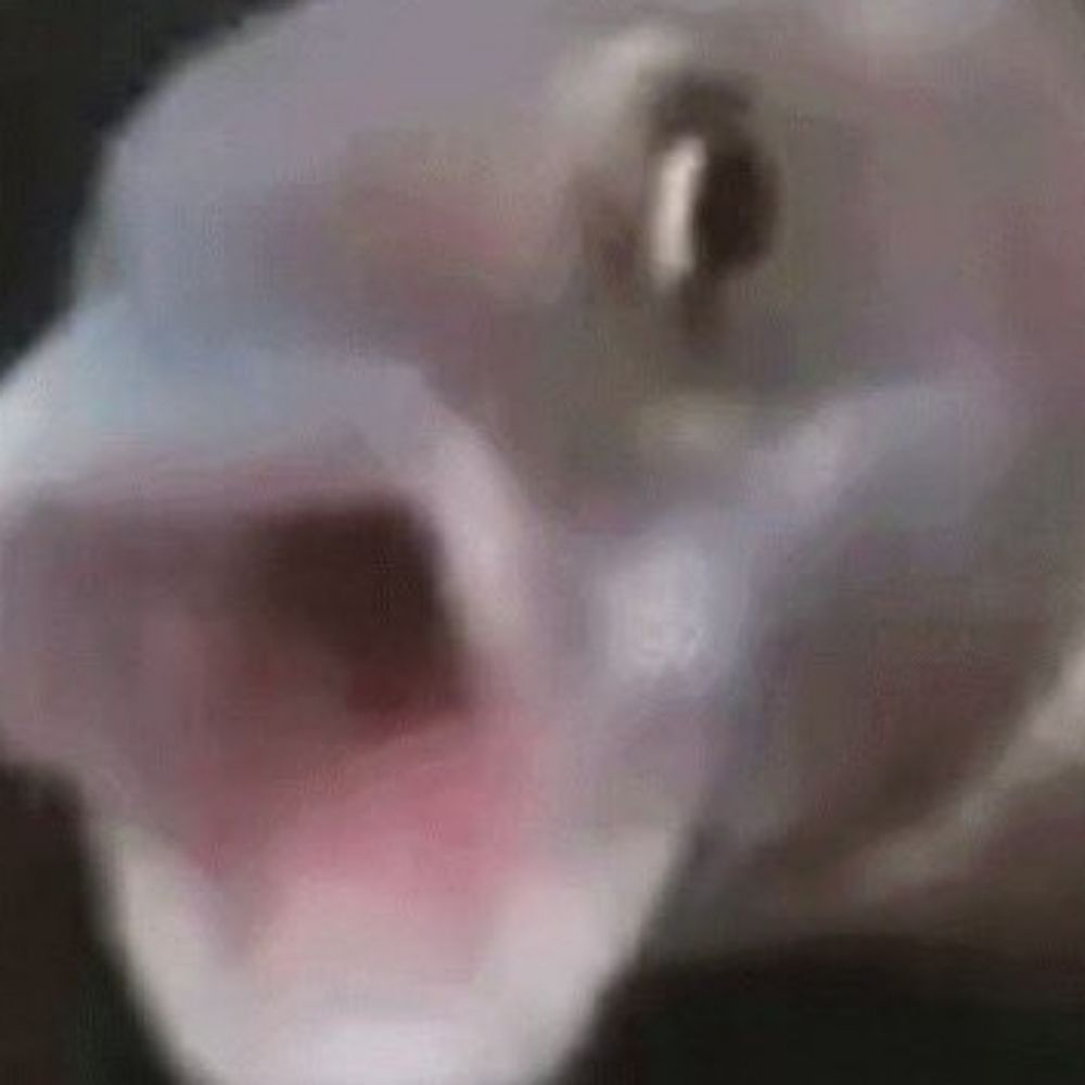 Fishinpants