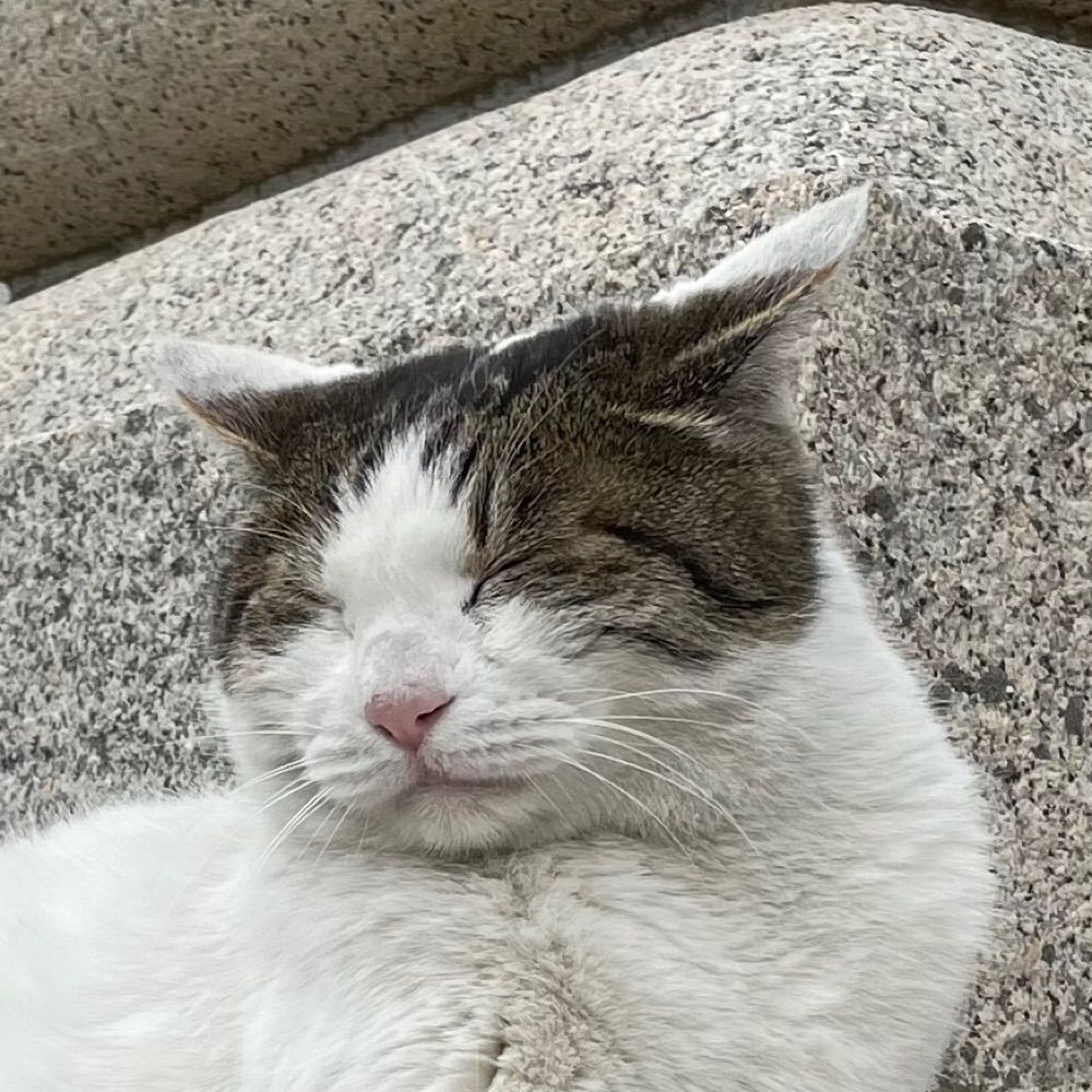 ぴよ彦
