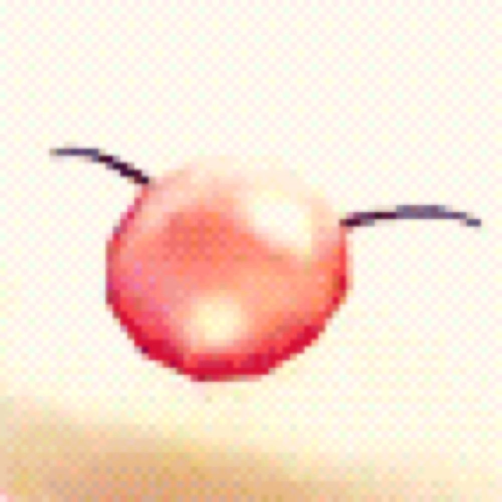 simbo himbo