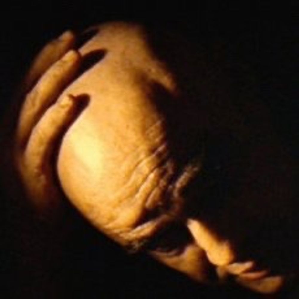 Hugues Peysson
