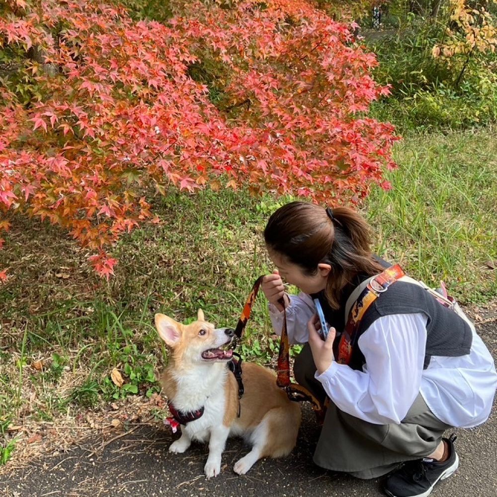 けい