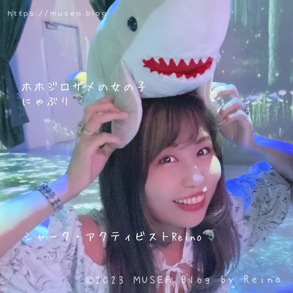 シャーク・アクティビストReino🦈サメ