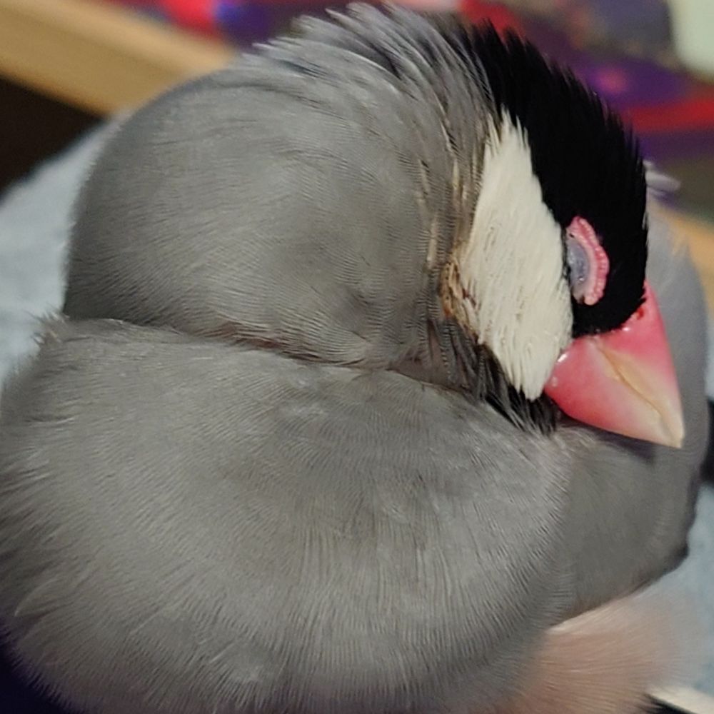 じょんぽ