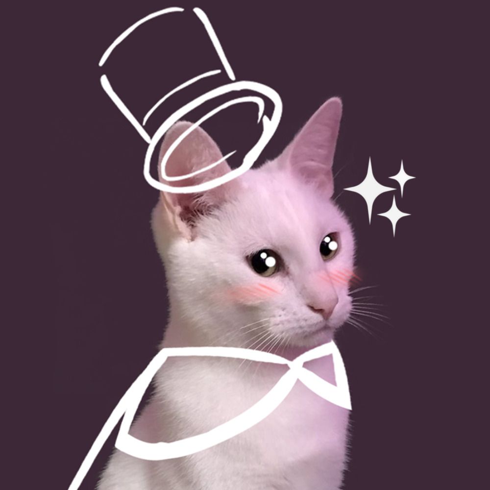 ✨ Obsessed Illusionist 🎩