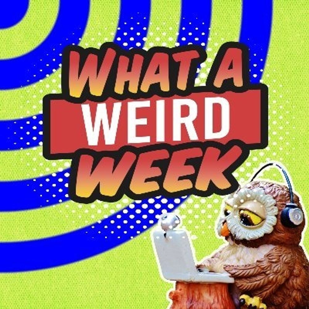 what a weird week 